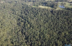 4.88 Acres Butler Mill Road, Grant, AL 35747