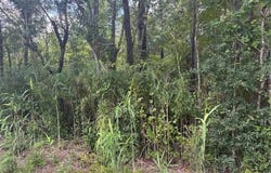 2539 Chauncey Town Road, Lake Waccamaw, NC 28450
