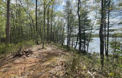 Lot 3 MITTEN LAKE RD, Lac du Flambeau, WI 54538