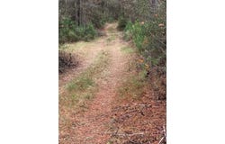 TBD CR 4020, Crockett, TX 75835