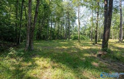 21.4 County Road 14, Flat Rock, AL 35966