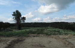 TBD Beltrane, Yankton, SD 57078