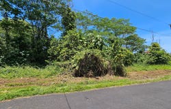 KAWAKAWA ST, Pahoa, HI 96778