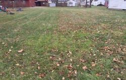 323 S Pleasant Street, Watervliet, MI 49098