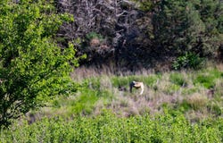 456 D Rd, Palco, KS 67657
