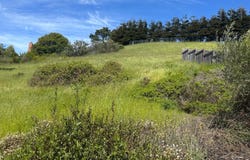 Loring Avenue, Mill Valley, CA 94941