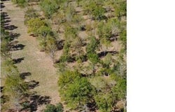 14169 A Poirrier Rd, Gonzales, LA 70737