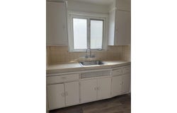 1125 Mill Street, Lincoln Park, MI 48146