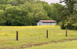 667 Chandler Road, Chickamauga, GA 30707