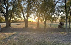 McConnell Road, Gunter, TX 75058