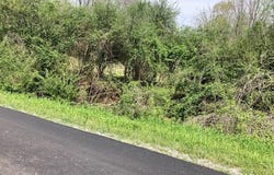Lafayette - Old Kellyton Rd, Alexander City, AL 35010