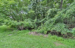 0 Healing Springs RD, Blue Ridge, VA 24064