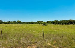 CR 2911, Eustace, TX 75124
