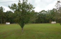 501a Commanche Drive, McComb, MS 39648
