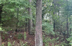 26 Norfork Drive, Maumelle, AR 72113