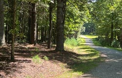 Tbd Cove Ln, Woodlawn, VA 24381
