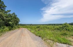 TBD CR 217, San Augustine, TX 75972