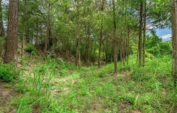 5611 U.S. 77, Warda, TX 78960