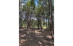 HWY 346, THAXTON, MS 38871