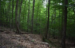 Lot 11 & 13 Mohawk Drive W, Webb, NY 13420