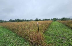 00942 RANNEY, EAST JORDAN, MI 49727