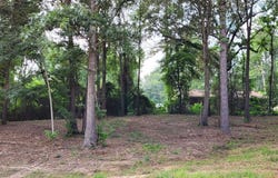 142 Leopard Drive, De Queen, AR 71832