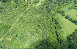 1 Casey Mill Road, Berry, KY 41003