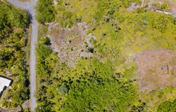 LEMIWAI RD, Keaau, HI 96749