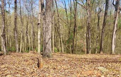 110 Black Knight Trail, Travelers Rest, SC 29690