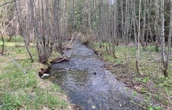 3121 FIFTEEN MILE CREEK RD, KETTLE FALLS, WA 99141