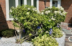 30 Apter Drive, Torrington, CT 06790