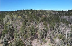 Tbd Apache Circle, Angel Fire, NM 87710