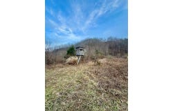Cow Branch, Belfry, KY 41514