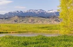 272 Road 6RT, Cody, WY 82414