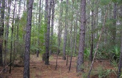 0 Jamestown Road, Waycross, GA 31503