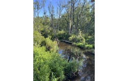 TBD Catalina Boulevard, North, SC 29112