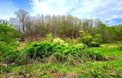 763 WHETSTONE ROAD, MANNINGTON, WV 26582