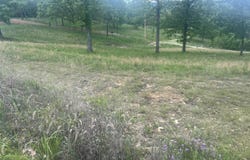 000 Farm Rd 2250, Golden, MO 65658