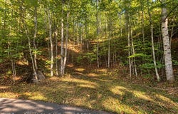 250 Turn-A-Bout Ct lot: 57, Waynesville, NC 28785