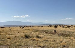 Turkey Ridge Ranch lot: 234, Walsenburg, CO 81089