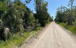 TBD Yates Creek Road, Perry, FL 32348
