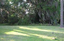 236 NW Bay Path Drive, Crystal River, FL 34428