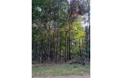 8091 CARRIAGE LANE, MORLEY, MI 49336