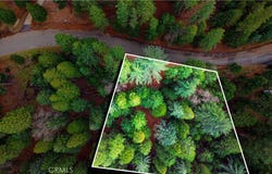 5435 Pine Ridge, Grizzly Flats, CA 95636