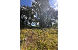 W State Highway 294, Elkhart, TX 75839