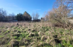 325 Powers Street, Homer, MI 49245