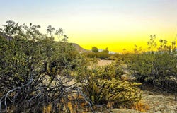 Last Chance Trl unit: 289, Julian, CA 92036