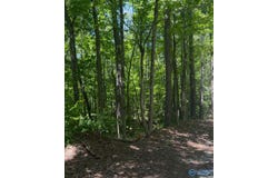 5 Acres Owls Hollow Road, Gadsden, AL 35901