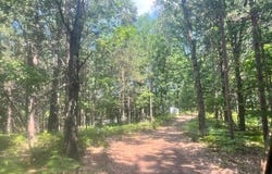 6142 N Sunshine Drive, Irons, MI 49644