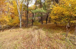Lot 133 Old Hollow Trail, Fancy Gap, VA 24328